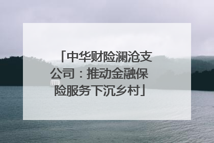 中华财险澜沧支公司：推动金融保险服务下沉乡村