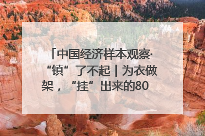 中国经济样本观察·“镇”了不起｜为衣做架，“挂”出来的80亿元“衣架产业”