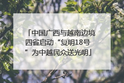 中国广西与越南边境四省启动“复明18号”为中越民众送光明