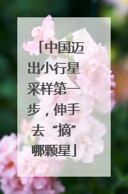 中国迈出小行星采样第一步，伸手去“摘”哪颗星