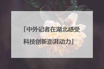 中外记者在湖北感受科技创新澎湃动力