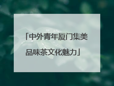 中外青年厦门集美品味茶文化魅力