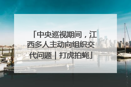 中央巡视期间，江西多人主动向组织交代问题｜打虎拍蝇