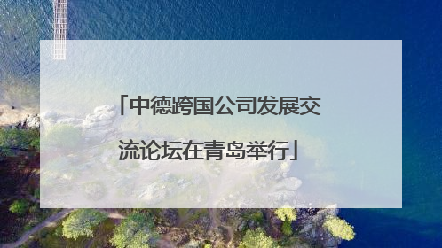 中德跨国公司发展交流论坛在青岛举行