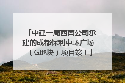 中建一局西南公司承建的成都保利中环广场（G地块）项目竣工