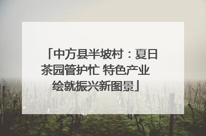 中方县半坡村：夏日茶园管护忙 特色产业绘就振兴新图景