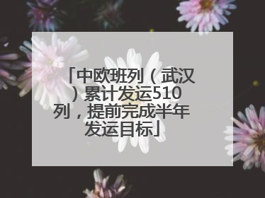 中欧班列（武汉）累计发运510列，提前完成半年发运目标