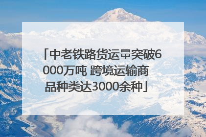 中老铁路货运量突破6000万吨 跨境运输商品种类达3000余种