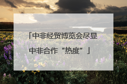 中非经贸博览会尽显中非合作“热度”