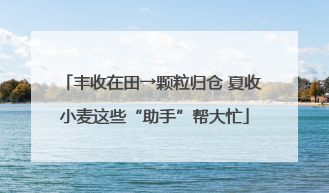 丰收在田→颗粒归仓 夏收小麦这些“助手”帮大忙