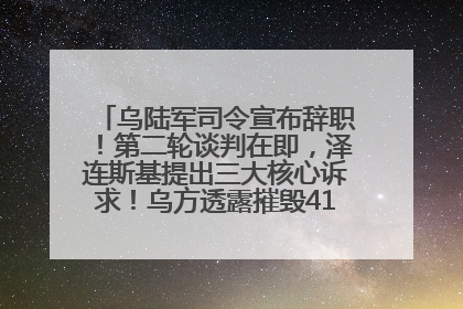 乌陆军司令宣布辞职！第二轮谈判在即，泽连斯基提出三大核心诉求！乌方透露摧毁41架俄战略轰炸机