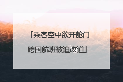 乘客空中欲开舱门 跨国航班被迫改道