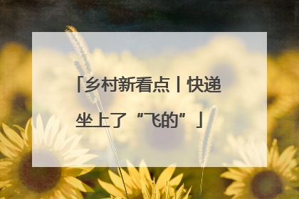 乡村新看点丨快递坐上了“飞的”