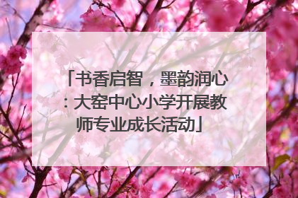书香启智，墨韵润心：大窑中心小学开展教师专业成长活动
