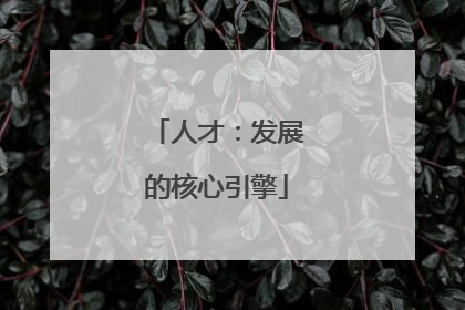 人才：发展的核心引擎