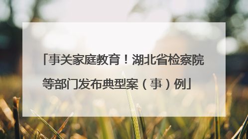 事关家庭教育！湖北省检察院等部门发布典型案（事）例