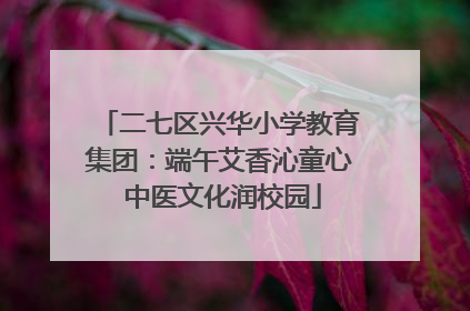 二七区兴华小学教育集团：端午艾香沁童心 中医文化润校园