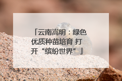 云南嵩明：绿色优质种苗培育 打开“缤纷世界”