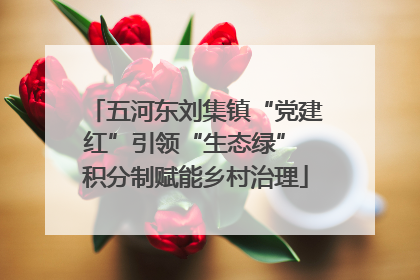 五河东刘集镇“党建红”引领“生态绿” 积分制赋能乡村治理
