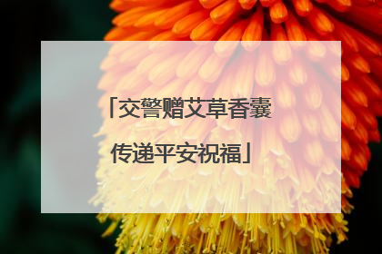 交警赠艾草香囊 传递平安祝福