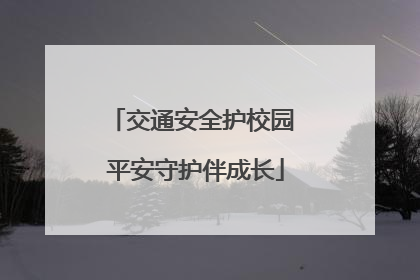 交通安全护校园 平安守护伴成长