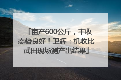 亩产600公斤，丰收态势良好！卫辉：机收比武田现场测产出结果