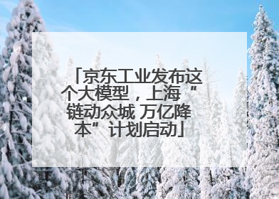 京东工业发布这个大模型，上海“链动众城 万亿降本”计划启动