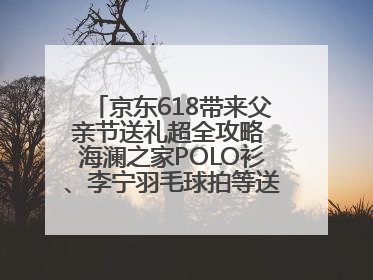 京东618带来父亲节送礼超全攻略 海澜之家POLO衫、李宁羽毛球拍等送到爸爸心坎上