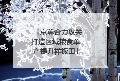 京冀合力攻关打造区域粮食单产提升样板田