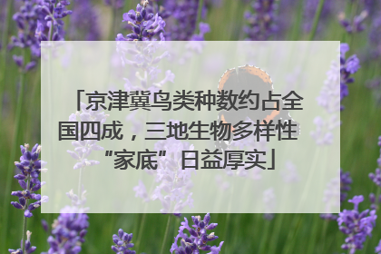 京津冀鸟类种数约占全国四成，三地生物多样性“家底”日益厚实