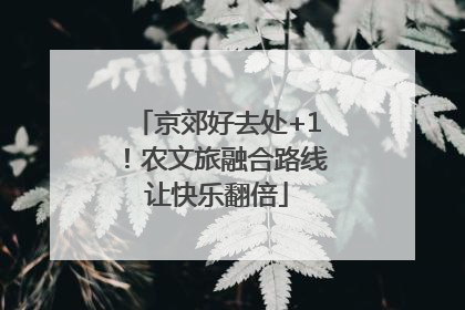 京郊好去处+1！农文旅融合路线让快乐翻倍