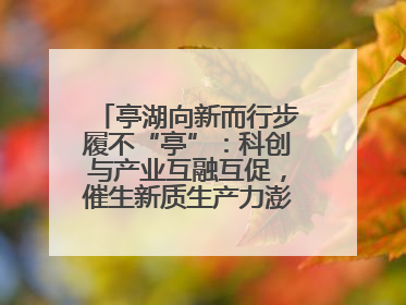 亭湖向新而行步履不“亭”：科创与产业互融互促，催生新质生产力澎湃动能