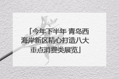 今年下半年 青岛西海岸新区精心打造八大重点消费类展览