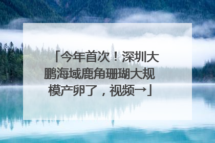 今年首次！深圳大鹏海域鹿角珊瑚大规模产卵了，视频→