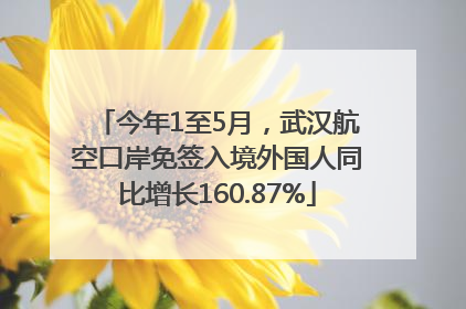 今年1至5月，武汉航空口岸免签入境外国人同比增长160.87%