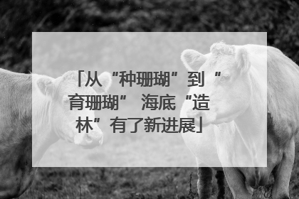 从“种珊瑚”到“育珊瑚” 海底“造林”有了新进展