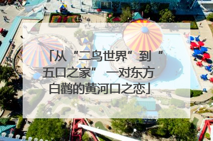 从“二鸟世界”到“五口之家” 一对东方白鹳的黄河口之恋