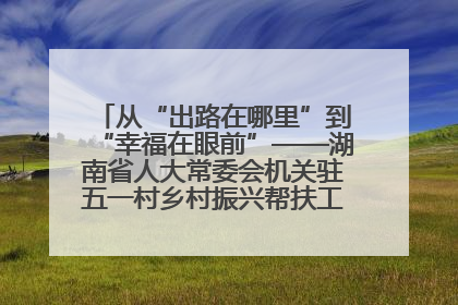 从“出路在哪里”到“幸福在眼前”——湖南省人大常委会机关驻五一村乡村振兴帮扶工作队书写振兴答卷