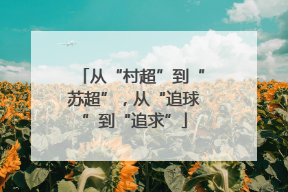 从“村超”到“苏超”，从“追球”到“追求”