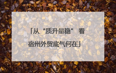 从“质升量稳” 看宿州外贸底气何在