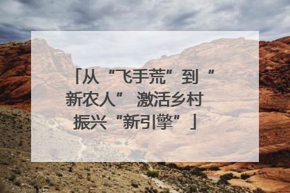 从“飞手荒”到“新农人” 激活乡村振兴“新引擎”