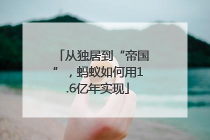 从独居到“帝国”，蚂蚁如何用1.6亿年实现