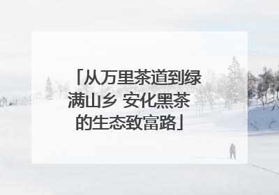 从万里茶道到绿满山乡 安化黑茶的生态致富路