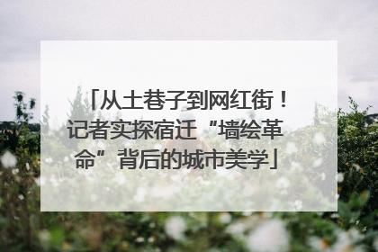从土巷子到网红街！记者实探宿迁“墙绘革命”背后的城市美学