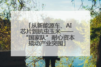 从新能源车、AI芯片到抗虫玉米——“国家队”耐心资本撬动产业突围