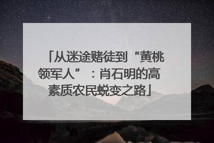 从迷途赌徒到“黄桃领军人”：肖石明的高素质农民蜕变之路