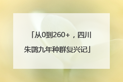 从0到260+，四川朱鹮九年种群复兴记