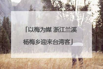 以梅为媒 浙江兰溪杨梅乡迎来台湾客