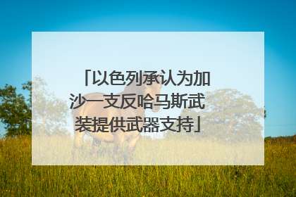 以色列承认为加沙一支反哈马斯武装提供武器支持