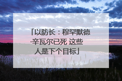 以防长：穆罕默德·辛瓦尔已死 这些人是下个目标